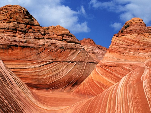 The Wave là địa hình sa thạch độc đáo nằm ở khu hoang dã hẻm núi Canyon - vách đá Vermillon. Điểm tham quan này nổi tiếng với những sóng đá tuyệt đẹp và màu sắc ấn tượng.